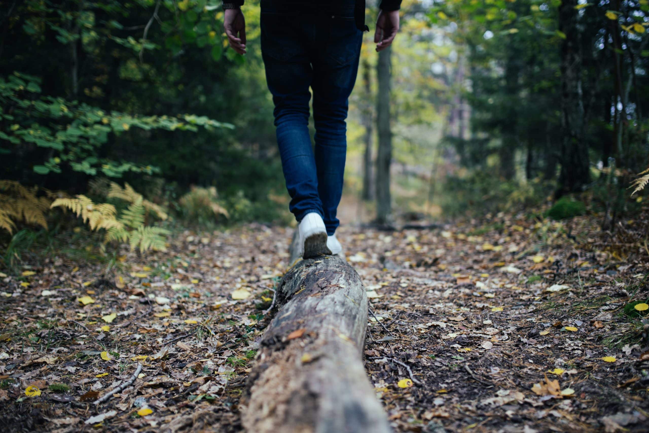 A person walks along a fallen log on a forest trail. A person walks along a fallen log on a forest trail.