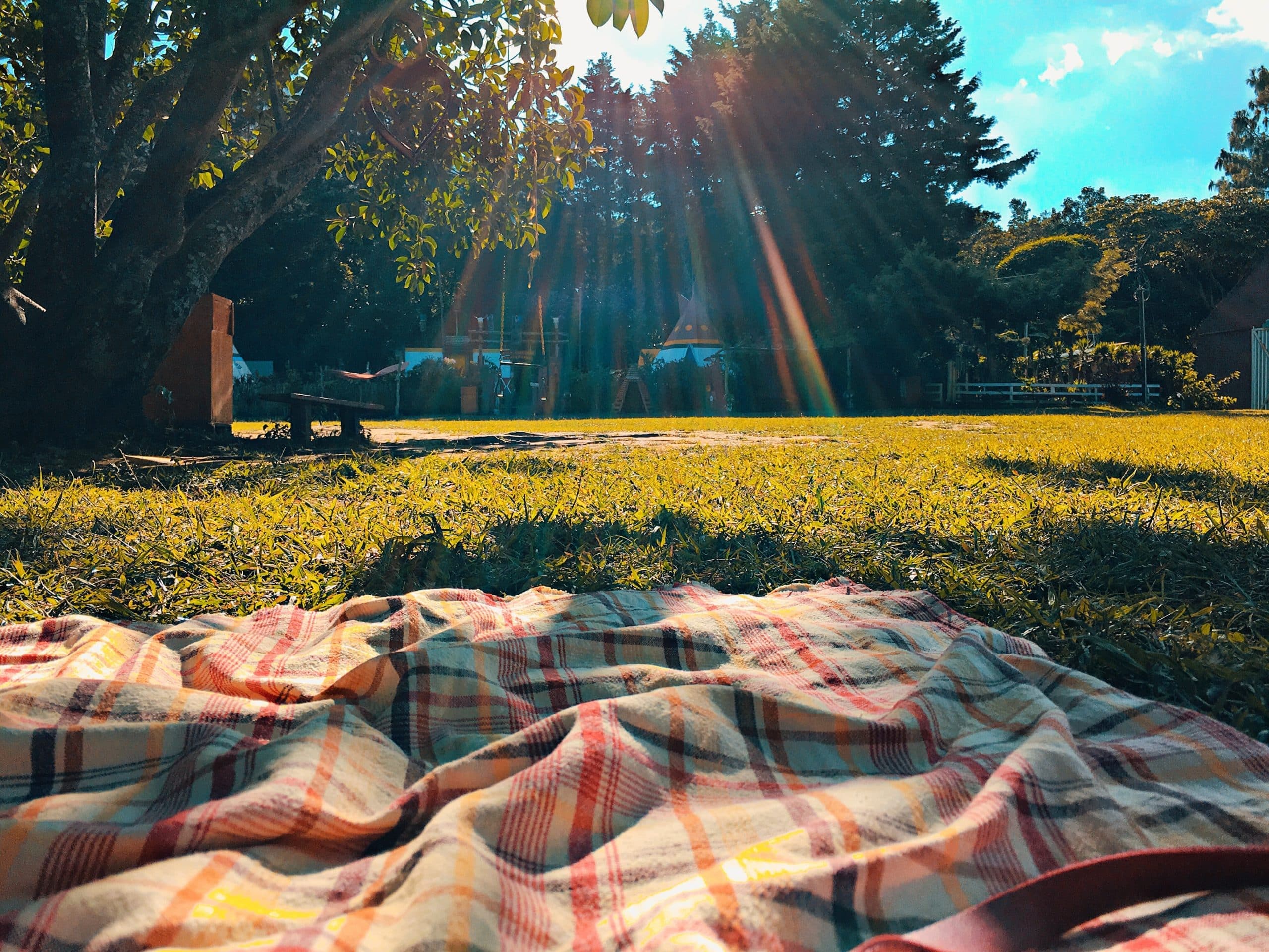 A plaid blanket lies on green grass illuminated by warm sunlight filtering through trees. A plaid blanket lies on green grass illuminated by warm sunlight filtering through trees.