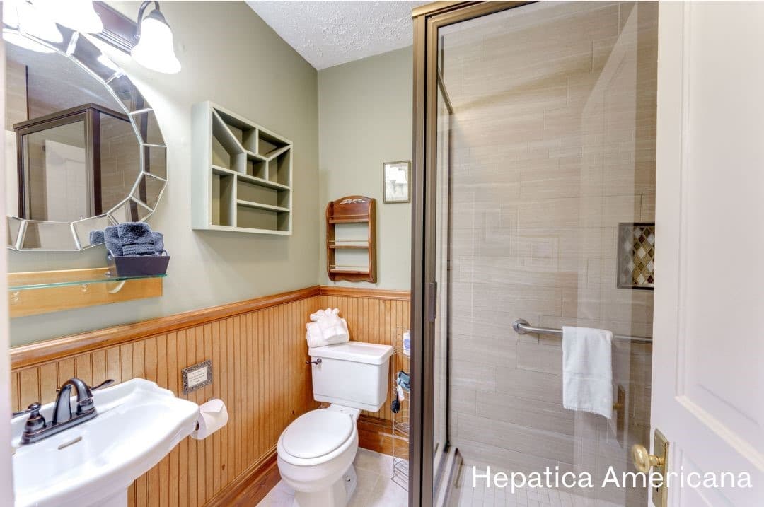 Hepatica Americana's bathroom featuring a large, tiled walk-in shower, white pedestal sink, and white toilet.