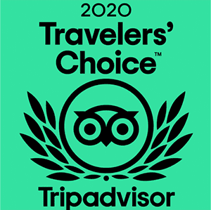 Logo for TripAdvisor's 2020 Travelers' Choice award, featuring an owl and laurel leaves on a green background.