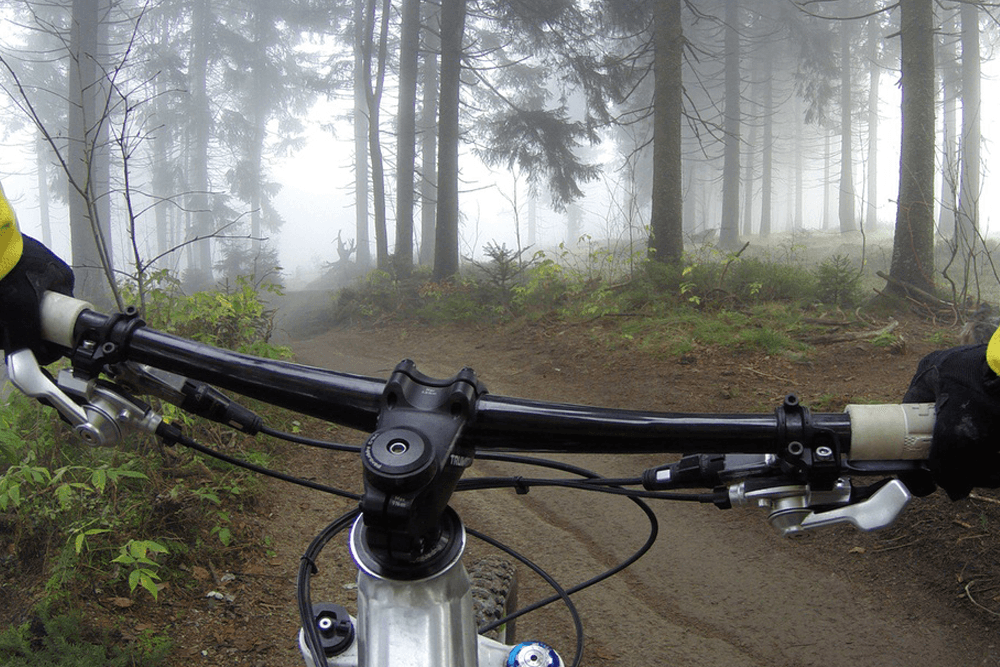 A mountain biker navigates a foggy forest trail.