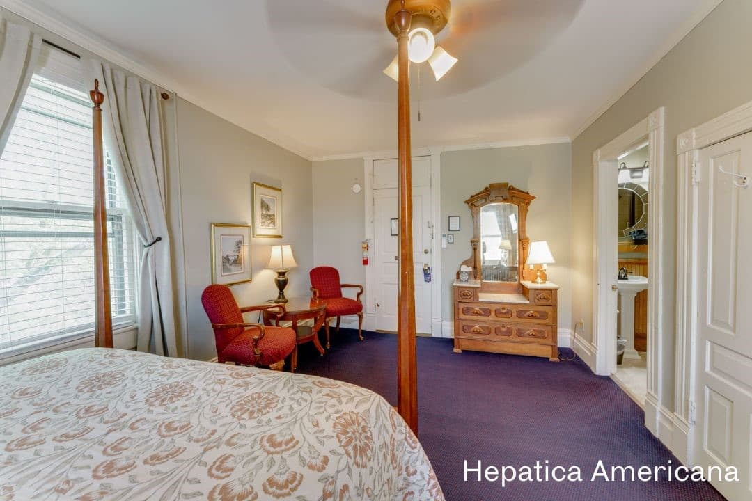 Hepatica Americana Room featuring a four posted queen bed, seating area with cushioned chairs, and vintage dresser with attached mirror.