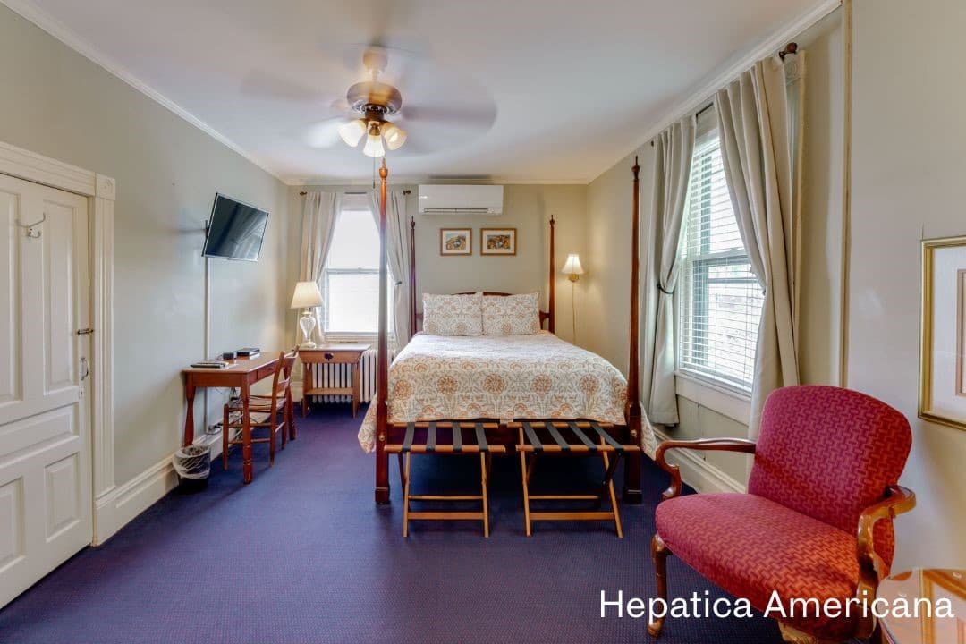 Hepatica Americana Room featuring a four posted queen bed, sitting area with cushioned chairs, a night stand, and a desk and chair with a TV mounted above it.